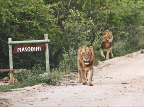 Masodini Game Lodge